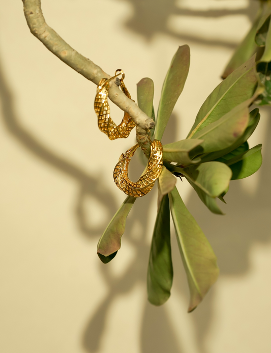 Golden Eclipse Hoops